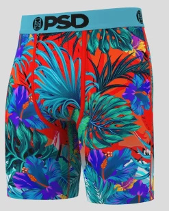6 Pack - Tropics