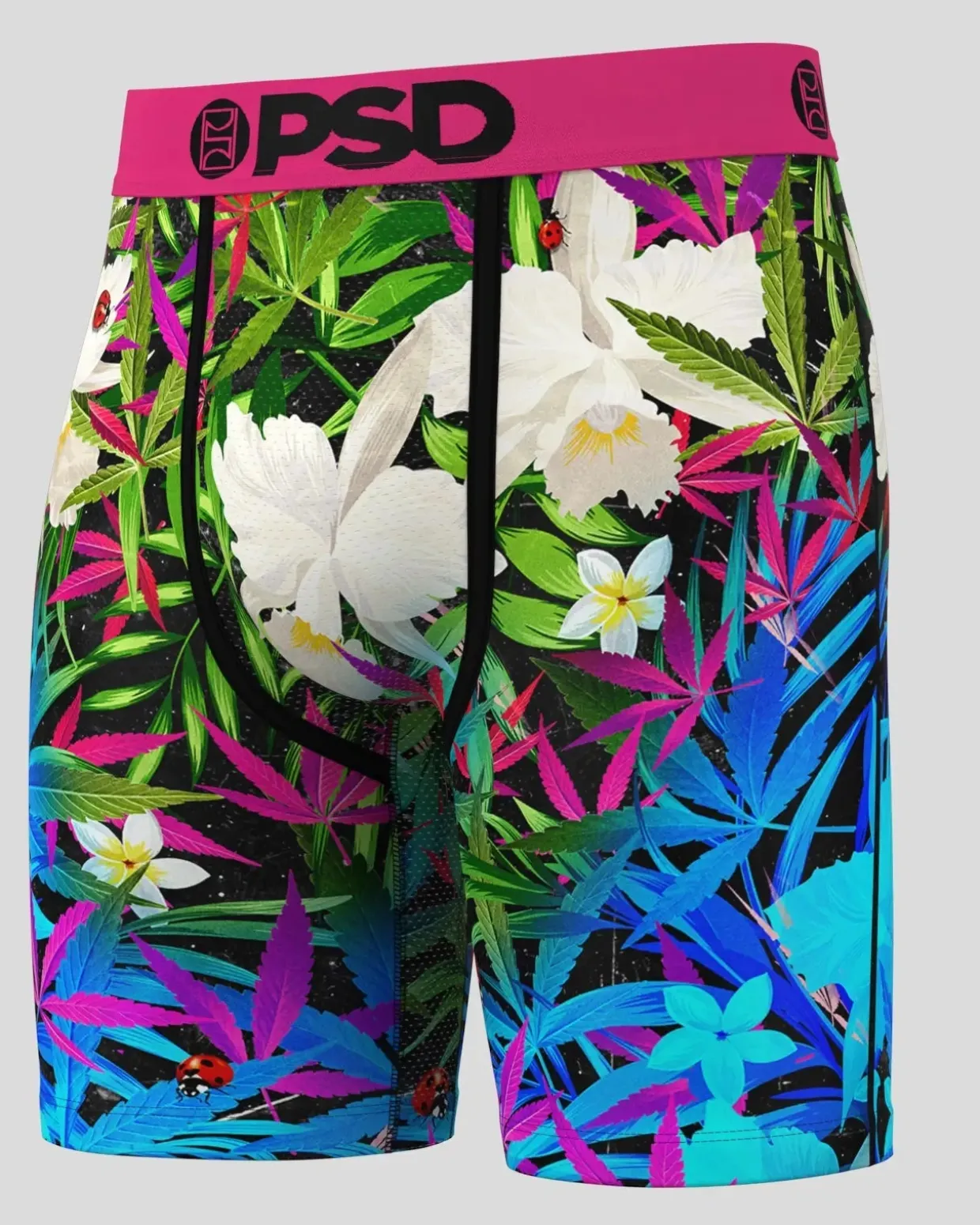 6 Pack - Tropics