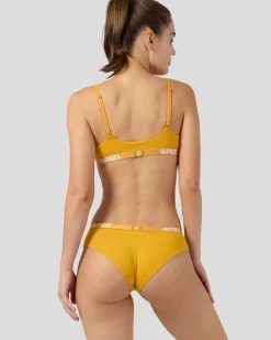 Modal 4 Pack - Fall